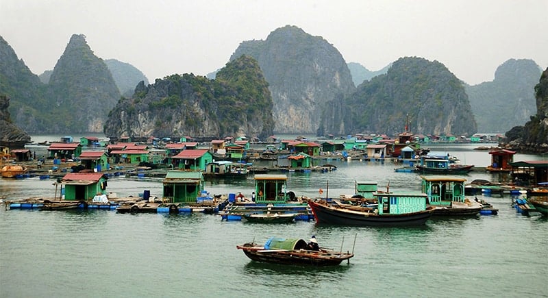 Halong Bay listed among top 10 fishing spots around the world