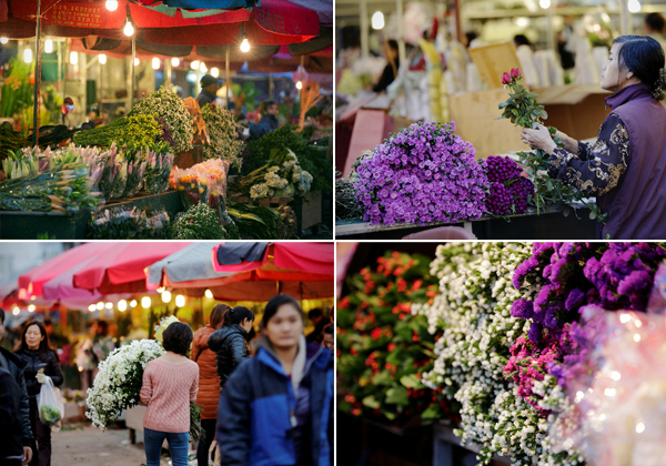 Quang Ba Flower Night Market in Hanoi - Vietnam-visa.com
