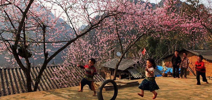 spring-in-vietnam-sapa-compressor