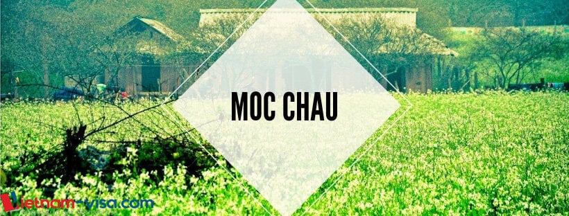 Moc Chau - a great destination for a Vietnam trip in November - Vietnam visa online