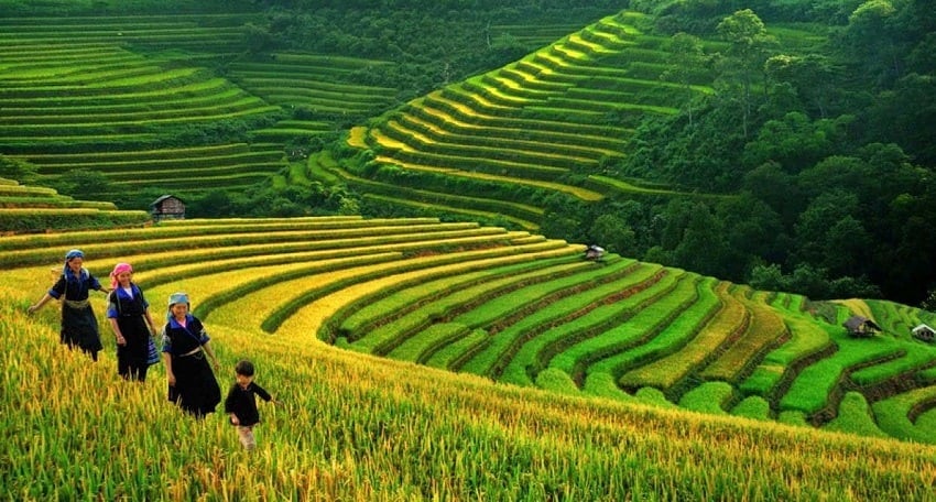 沙巴-越南北部美丽的山区小