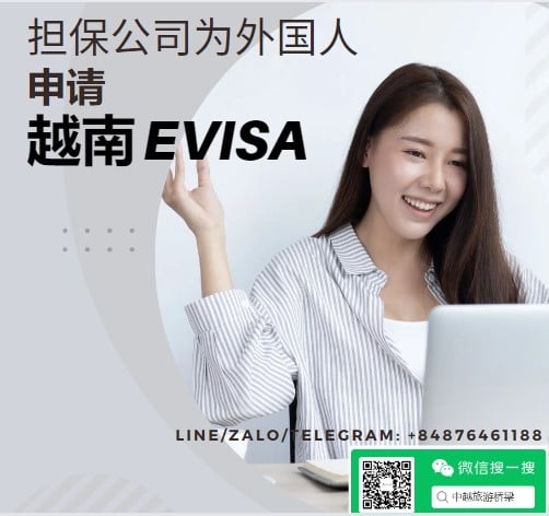 越南担保公司为外国人申请电子签证攻略