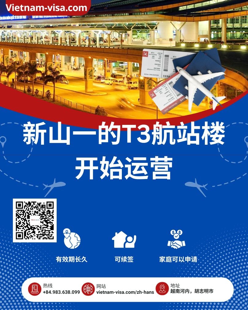 从越南新山一机场的T3航站楼入境