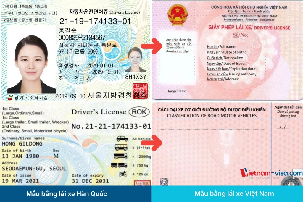 Hướng dẫn đổi bằng lái xe Hàn Quốc sang Việt Nam