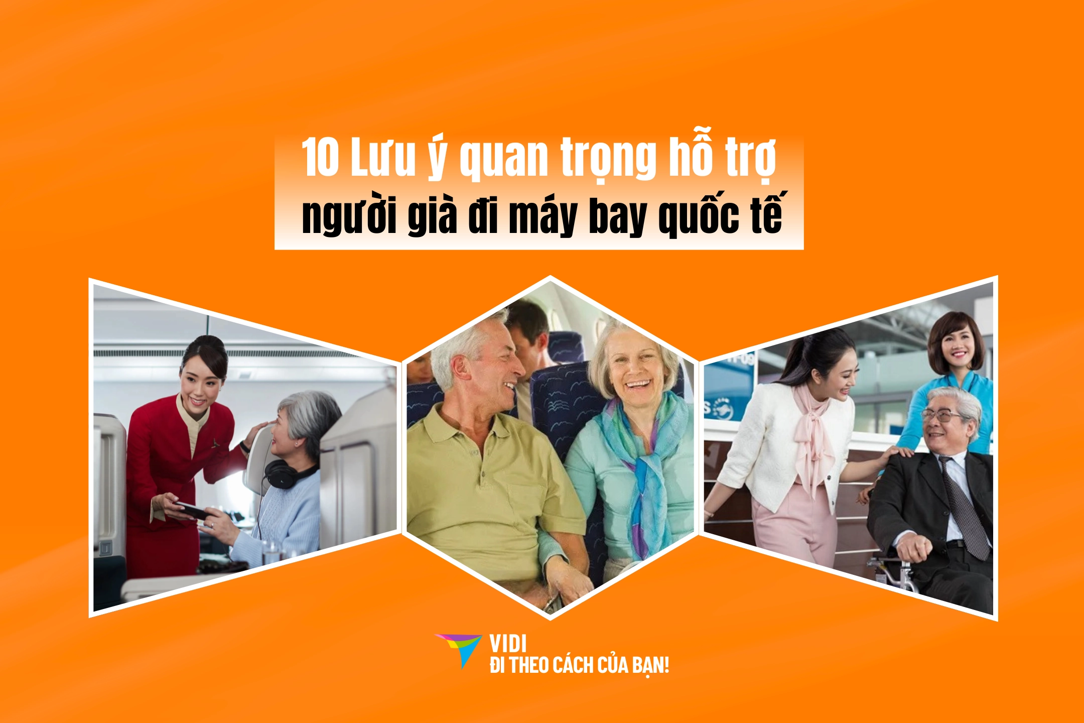 10 Lưu ý quan trọng giúp người già đi máy bay quốc tế an toàn, thoải mái (Cập nhật mới nhất)